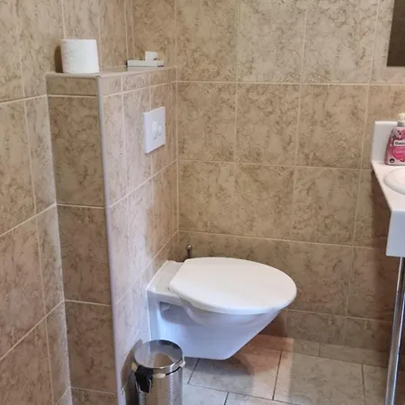 Vendégház U Dobreho Lva