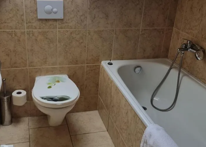 U Dobreho Lva בית הארחה 3*