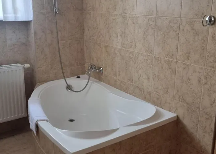 U Dobreho Lva 3* Frenštát pod Radhoštěm